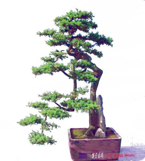 2NsCT7q67.jpg
