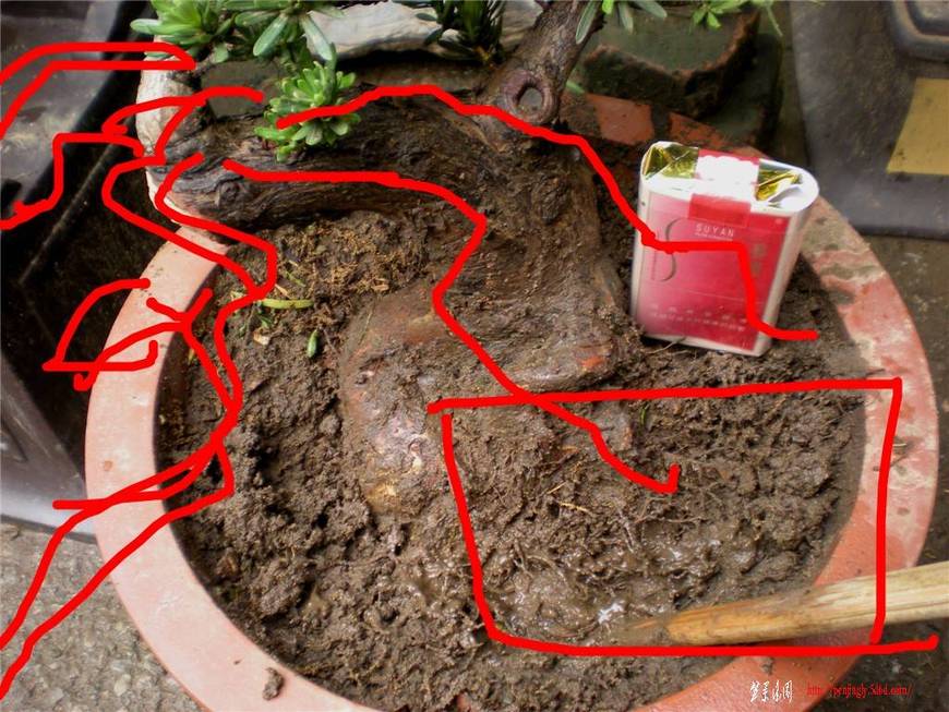 ��Ƭ 182_����.jpg