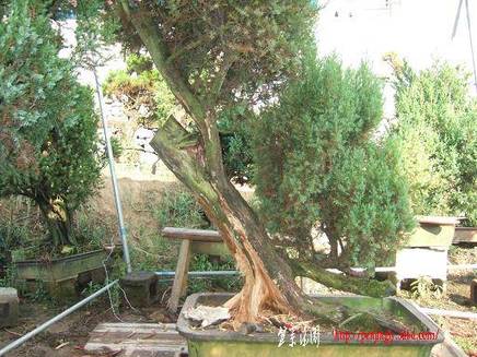 DSCF5270.JPG