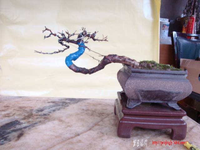 DSC03103.JPG