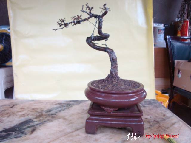 DSC03105.JPG