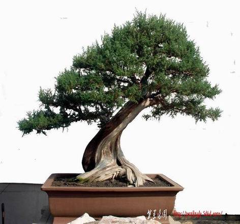 ������С ������С DSC_0043-1.jpg