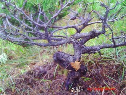 IMAG0016.JPG