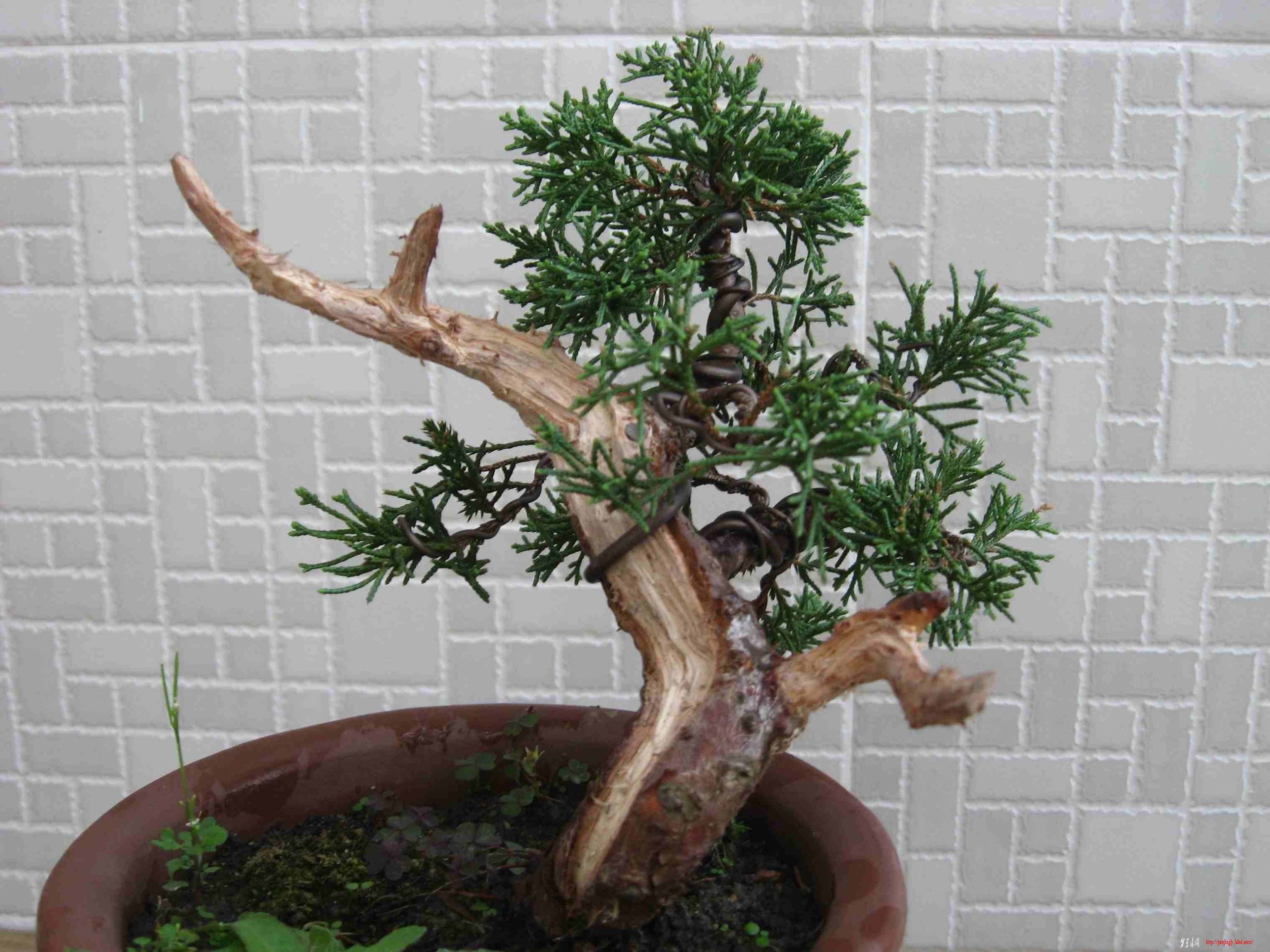 Ƭ 046.jpg