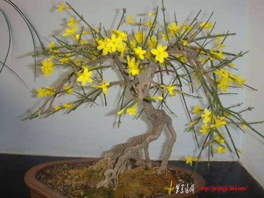 2009.01.15.15.32.35.01.jpg
