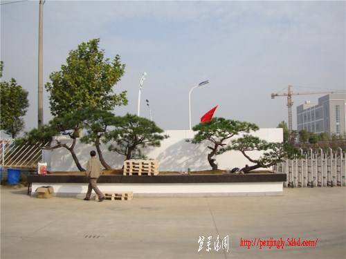 DSC00993_.jpg