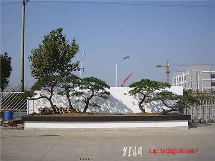 DSC00998_.jpg