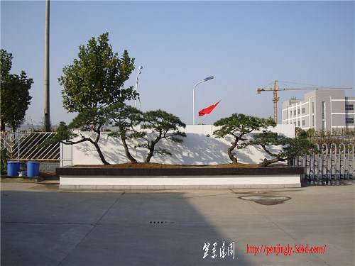 DSC01001_.jpg