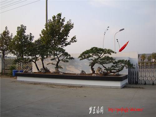 DSC01025_.jpg