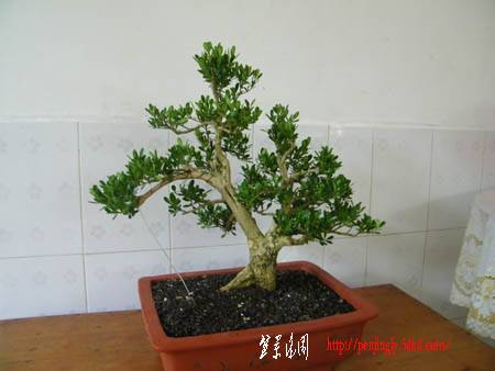 100_1197.jpg