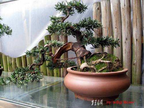 ���� IMG_0662.jpg