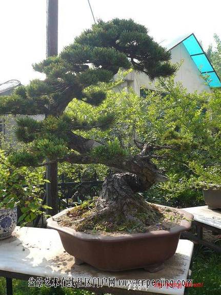 20080513_fceaab43fa4313749b25YAqPAjrwW0on.jpg