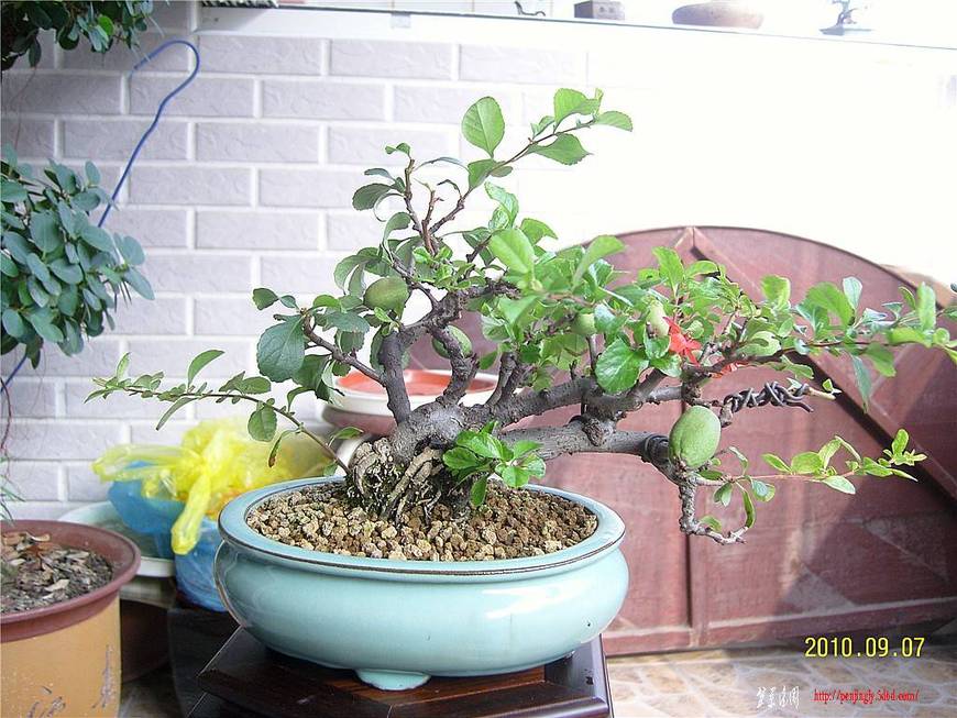 SNC10063_.jpg