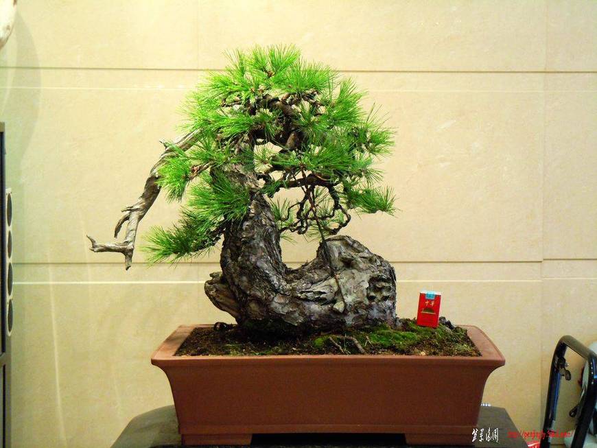 DSCN2181.JPG