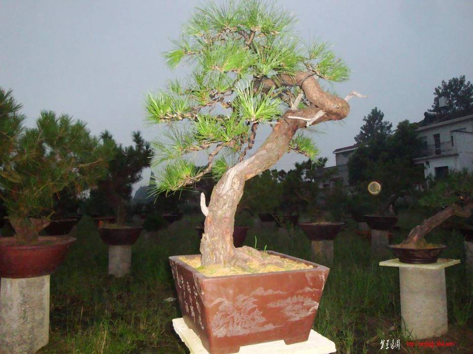 2010