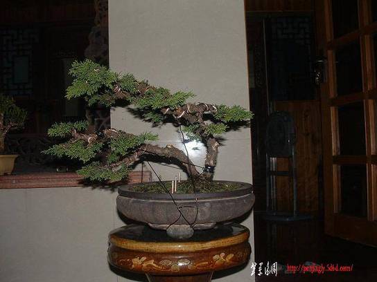 DSCF0068.JPG