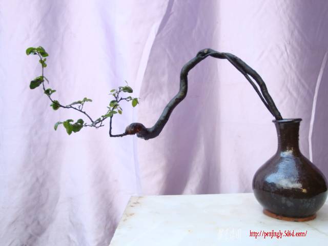 DSC03216.JPG