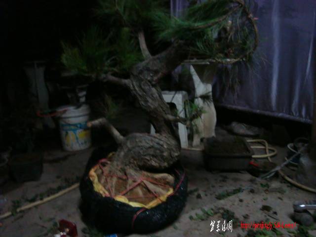 DSC03241.JPG