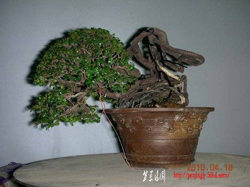 ap_F23_20100421014449343.jpg
