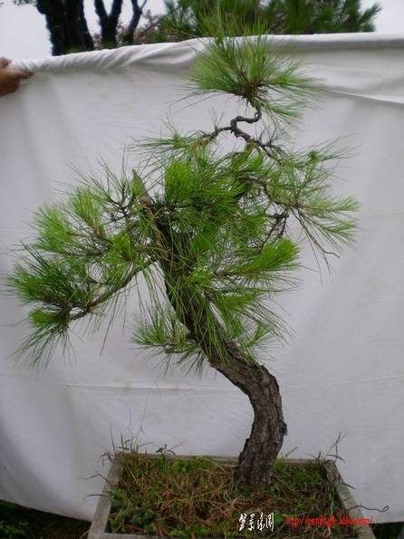 09������