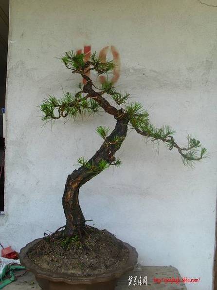 ��������������