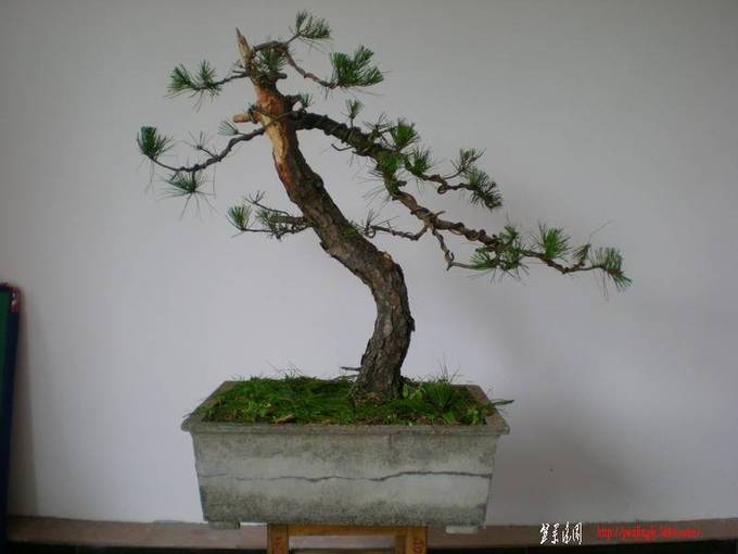 08������