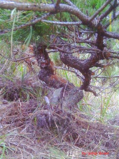 ��ת IMAG0012.JPG