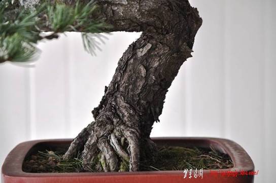 Ƭ 047.jpg