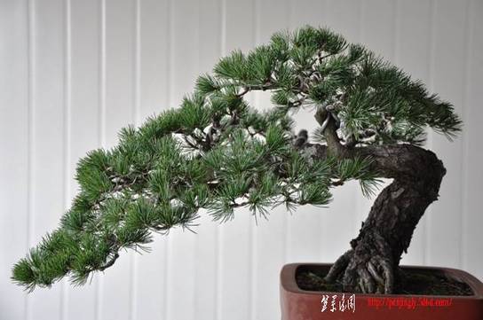 Ƭ 048.jpg
