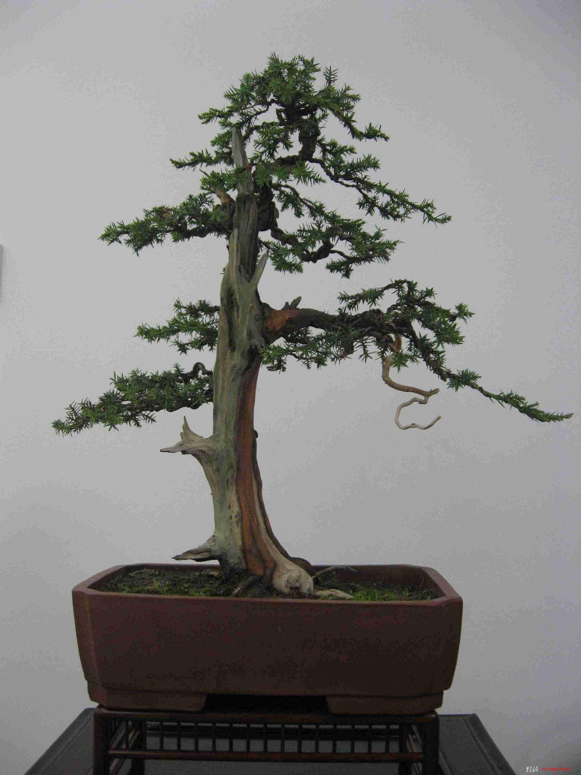 Ƭ 042.jpg