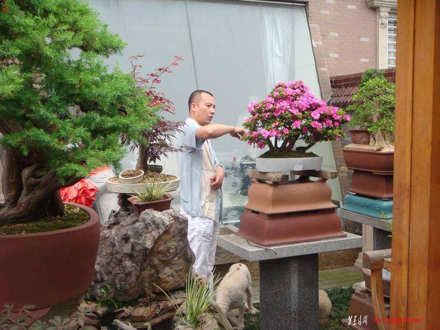 DSC05526.JPG