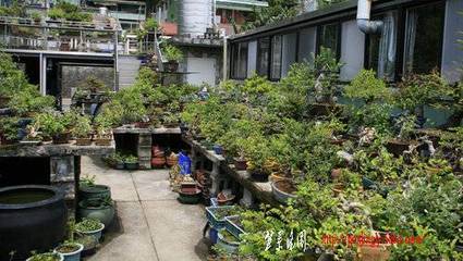 ap_F23_20090822034154606.jpg