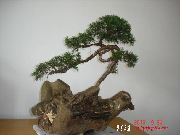 С���1 (3).JPG