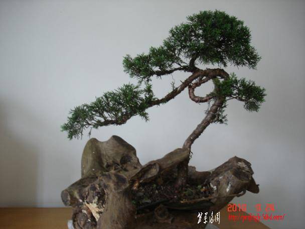 С���1 (1).JPG