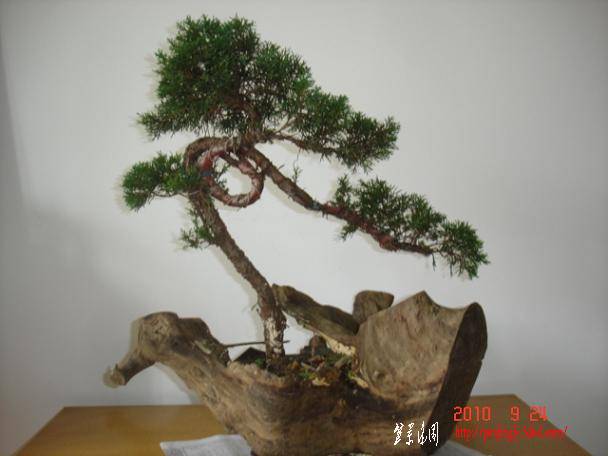 С���1 (4).JPG