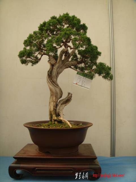 DSC01629.JPG