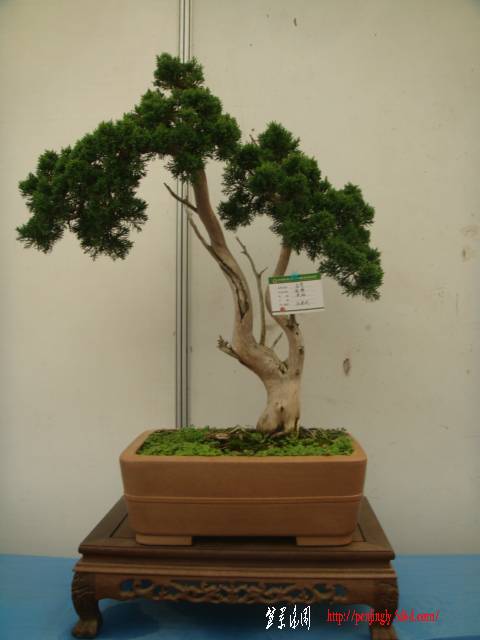 DSC01635.JPG