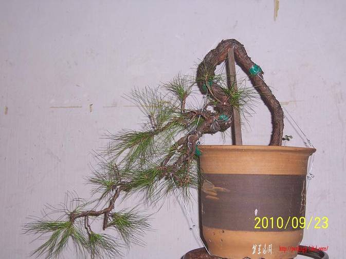 100_2572.JPG