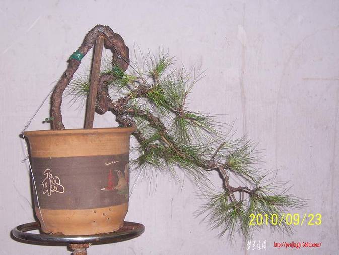 100_2579.JPG