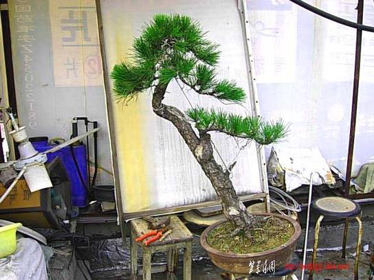 ���� ��Ƭ 2368.jpg