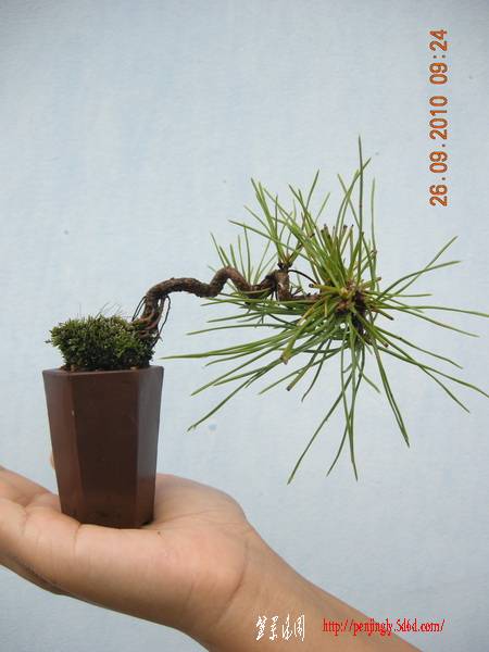 DSCN5069_С.jpg