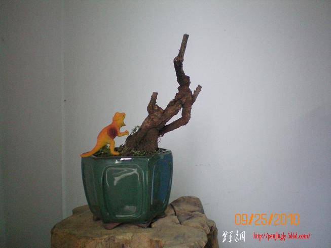 100_0425.JPG