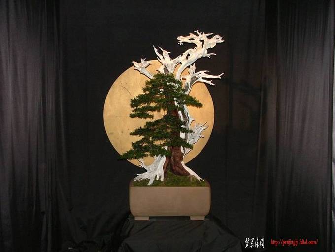 Noelanders%20Trophy%20VI%20145.jpg