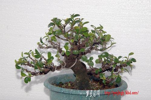 ap_F23_20100831021156974.jpg