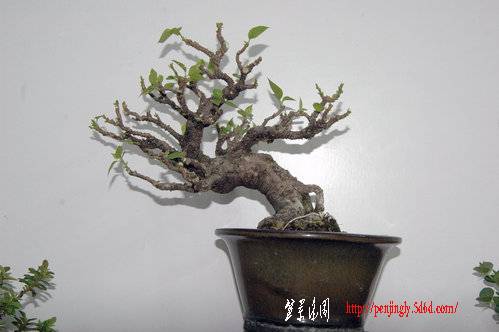 ap_F23_20100905092017369.jpg