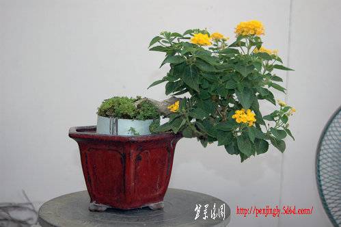 ap_F23_20100620040231759.jpg