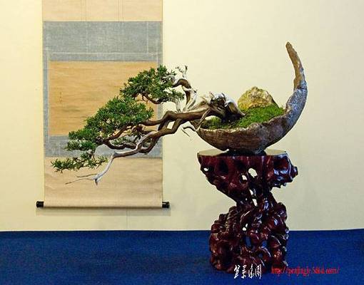 shun_ten_2008dsc_2512.jpg