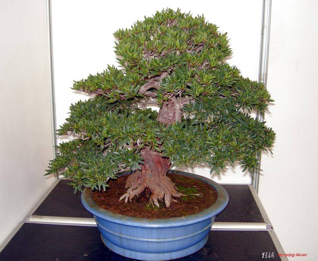 DSCN1473.JPG