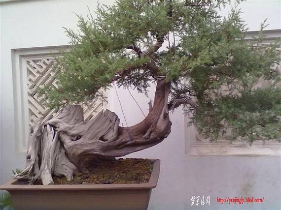 20100825047.jpg