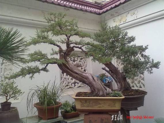 20100929104.jpg